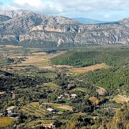 B&B Su Acu Dorgali Kültér fotó